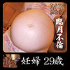 【無料フルDL】妊婦｜ymtk057