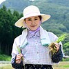 【無料フルDL】すみれ｜isds132a